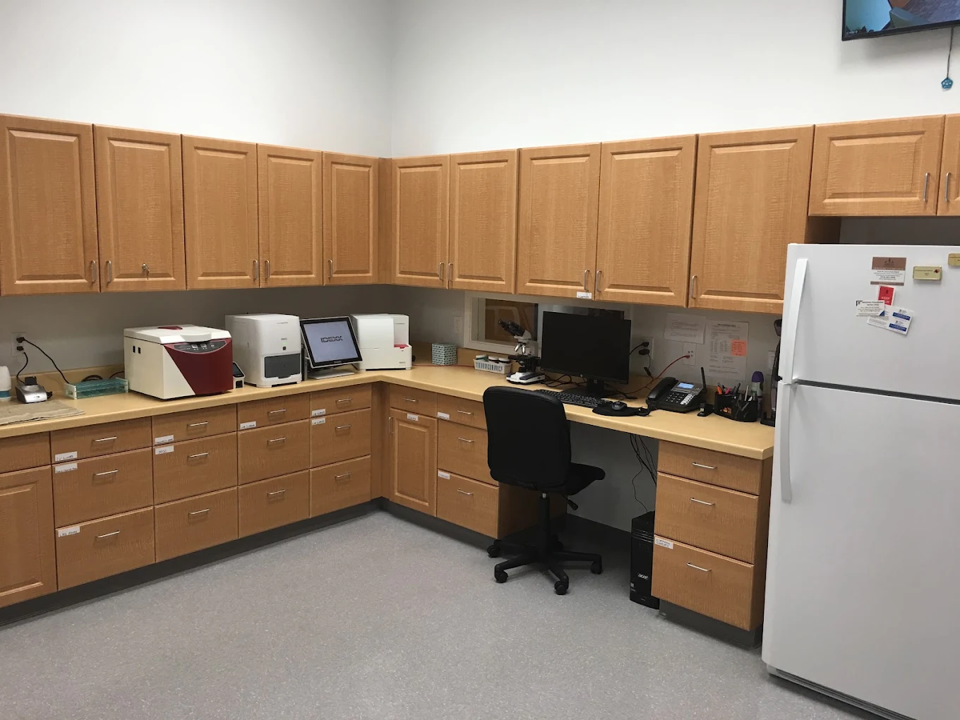 In-house laboratory area at Stonelake Animal Hospital