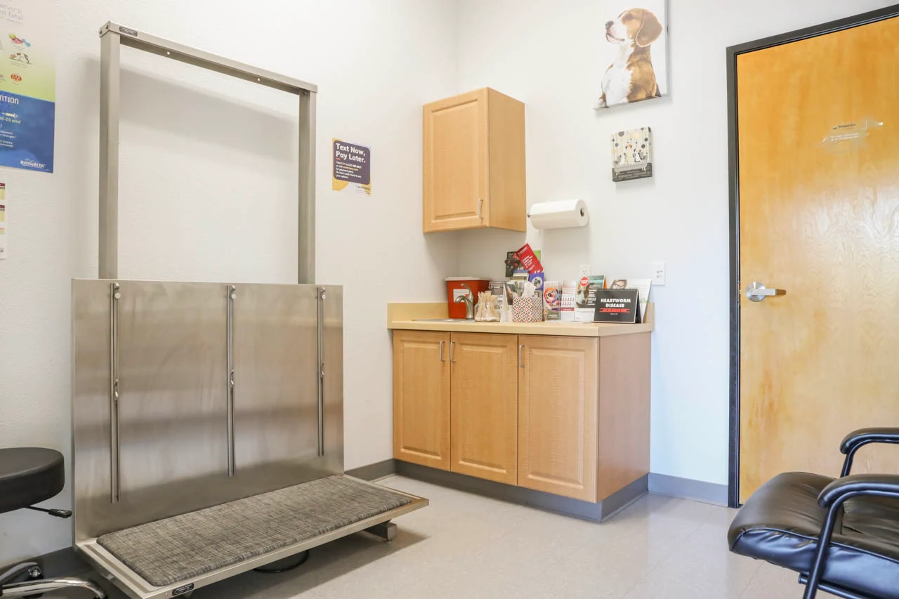 Exam room with a lift table at Stonelake Animal Hospital