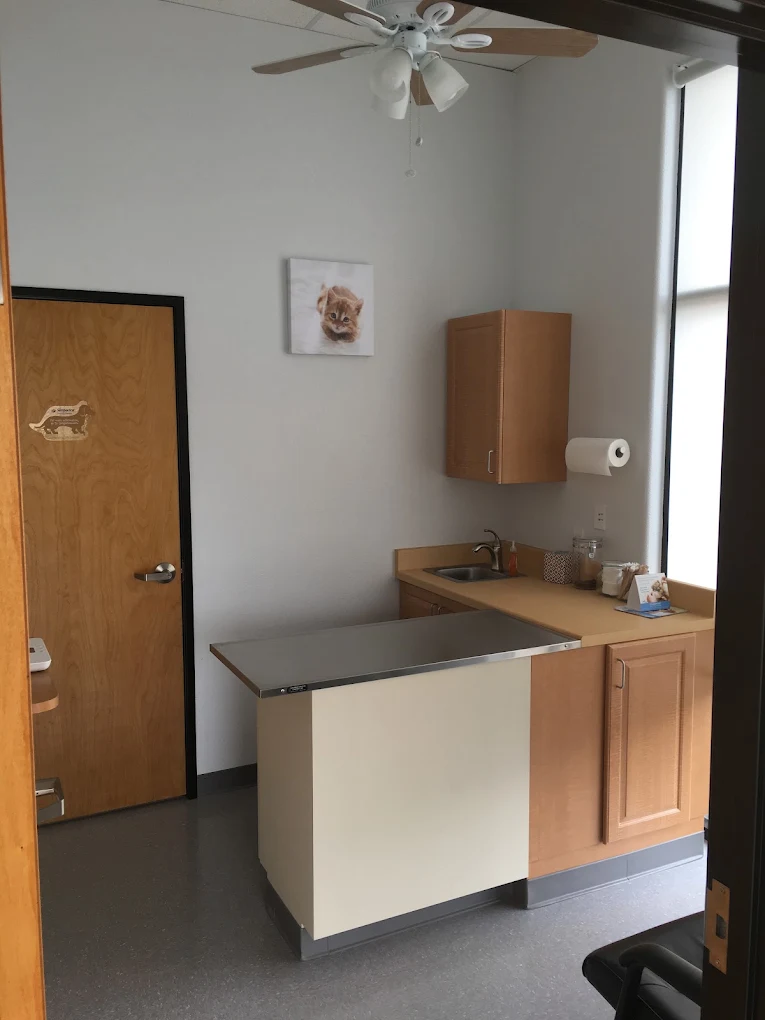 Quiet exam room at Stonelake Animal Hospital