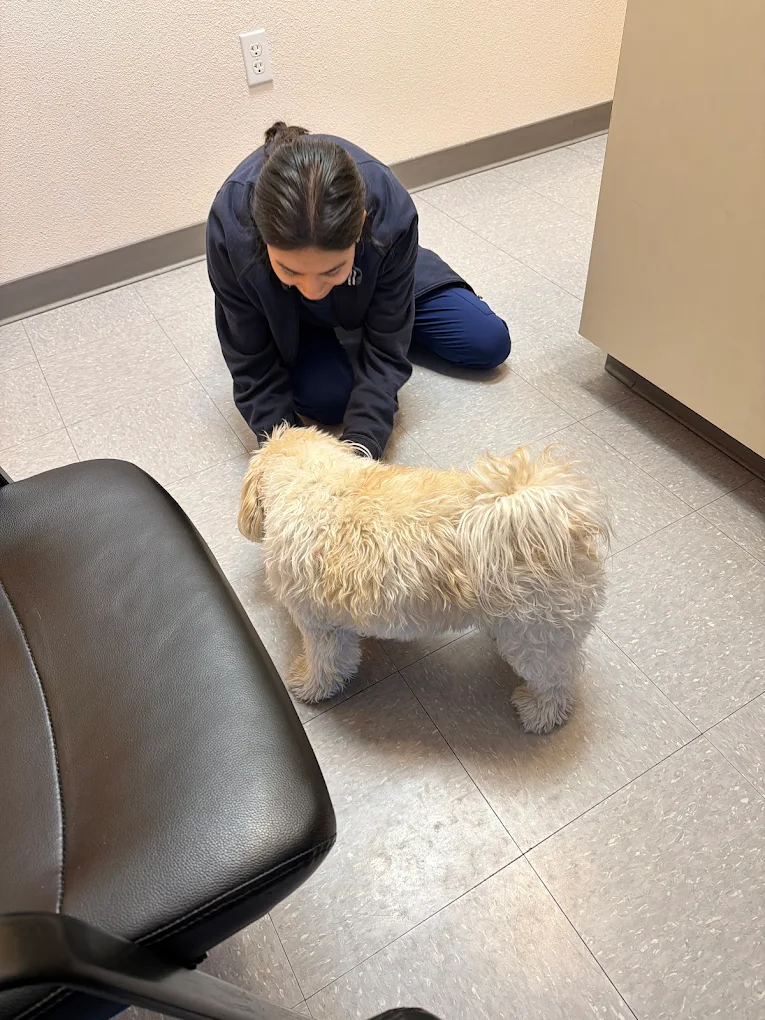 Stonelake Animal Hospital team member greeting a fluffy dog