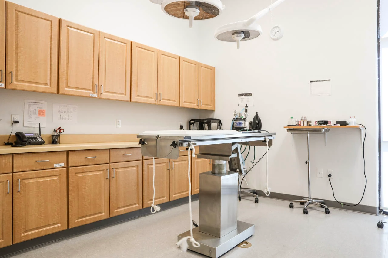 Surgical suite at Stonelake Animal Hospital in Elk Grove