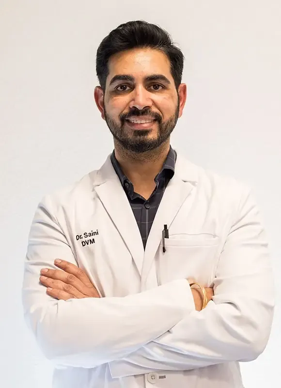 Dr. Shivinder Singh Saini